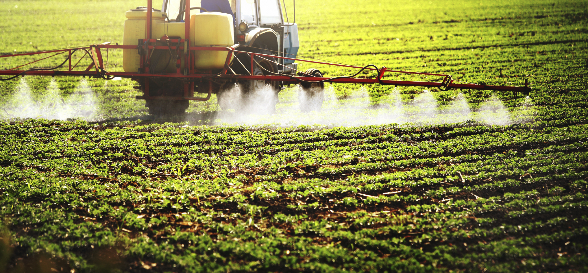 agro-industrie-et-le-commerce-continental